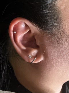 Simple lobe pair with a hoop — clean placement and titanium jewelry.